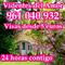 Tarot esoterico linea baratas visas 961 040 932