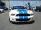 Ford mustang v8 shelby gt 500