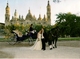 Bodas en carruaje de caballos - Foto 1