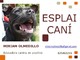 EDUCACIÓN CANINA Y ADIESTRAMIENTO. Servicios para tu mascota - Foto 1