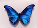 Canto transpersonal