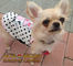 Ropa para Chihuahuas, Ropa para Perros, Moda Canina - Foto 1