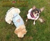 Ropa para Perros, Moda Canina de Lujo para Perros Pequeños - Foto 1