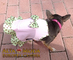 Vestidos para Perritas. Ropa Perros para Eventos sociales - Foto 1