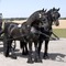 Caballos de Frisia (cinco caballos) - Foto 1