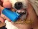 Limpieza dental en perros pequeños