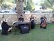 Musica bodas cartagena weddings string quartet murcia cartagena - Foto 1