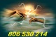 Tarot de las diosas 806 530 800