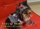 Ropa para Perros, Ropa para Yorkie - Foto 1