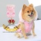 Ropa para perros, variedad en ropa para perros