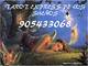 Tarot Express ECONOMICO 905433068 Los Sueños, respuestas rápidas - Foto 1