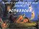 Tarot express economico 905433068 los sueños, respuestas rápidas