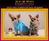 Moda Canina de Lujo para Perros Pequeños - Foto 1