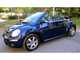 Volkswagen beetle beetle