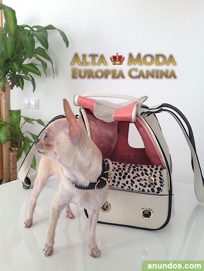 Bolsos para yorkshire hotsell