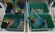 Hermosos bebés azules y oro guacamayo loros para la adopción - Foto 1