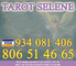 Tarot selene 24h visa 934081406 - 806514665 - Foto 1