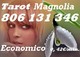 Tarot magnolia 806 131 346 economico 0,42€/min