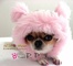 Moda Canina, tienda canina online - Foto 1