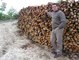 Troncos de madera comprimida 100 % roble - Foto 1