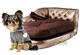 Mira nuestros nuevos sofas de lujo para perros
