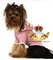 Ropa para yorkshire terrier