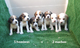 Impresionante camada de beagles excelente pedigri