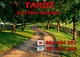 Tarot: una libre eleccion - Foto 1