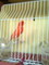 Canario lipocromo rojo - Foto 4