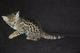 Exótico f1 sabana, serval gatitos y Bengala disponibles - Foto 5