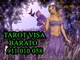 Tarot Visa Barata fiable MARISA 911 010 058. Visas a 5€-10 min - Foto 1