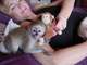 Masculino adorable y monos capuchinos femeninos en venta - Foto 1