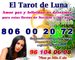 El tarot de la luna 2015 806.00.20.72