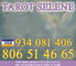 Tarot selene 806514665 sin gabinete 24h