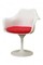 Comprar tulip arms online