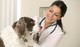 Productos médicos y veterinarios al por mayor