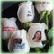 Rosas personalizadas