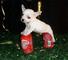 Preciosas miniaturas de chihuahuas