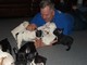 Bonito Bulldog Francés atigrado en adopcion - Foto 1