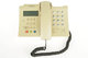 Domo telefónica