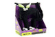Gato fraidy cat
