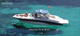 Blue Ocean Ibiza, Alquiler de barcos en Ibiza y Formentera - Foto 5