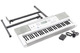 Casio ctk 810