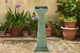 Fuente exterior. años 50