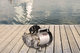 Compresor de buceo antiguo rob
