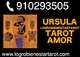 Logrobienestartarot tarot completo visa 20€ ursula