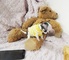 Preciose mini toy chihuahua cachorros - Foto 1