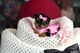 Cachorritas de yorkshire terrier,,,,,,,, - Foto 1