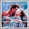 Tatot del amor 912903361 visa