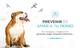 Antiparasitarios para perro en nuestroperro